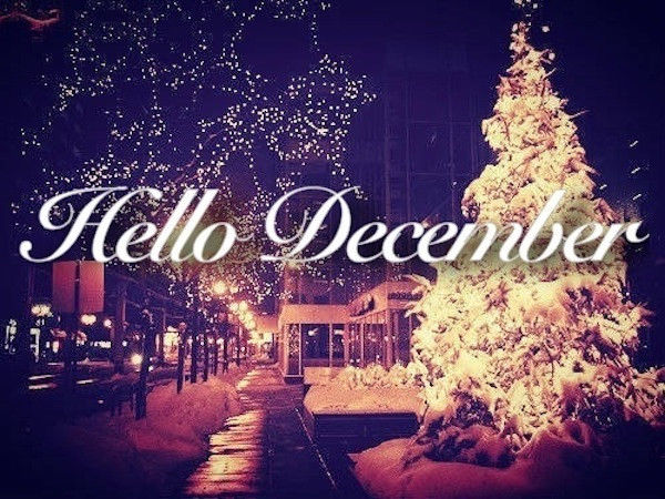 218311-Hello-December-Quote-With-Christmas-Tree
